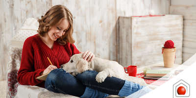 Animali domestici: creare lo spazio ideale in casa per la giusta convivenza