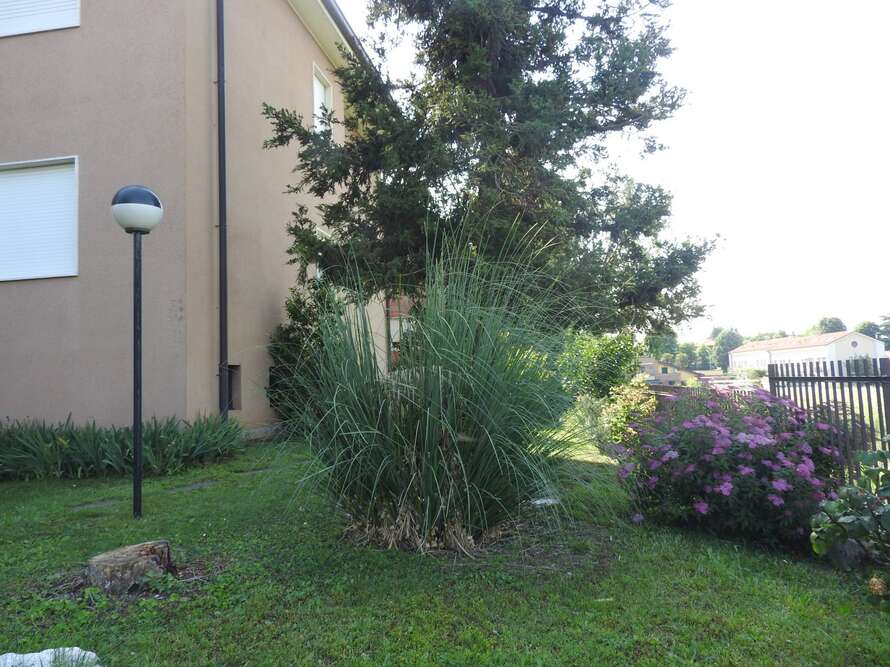 appartamento di 3 locali a robbiate