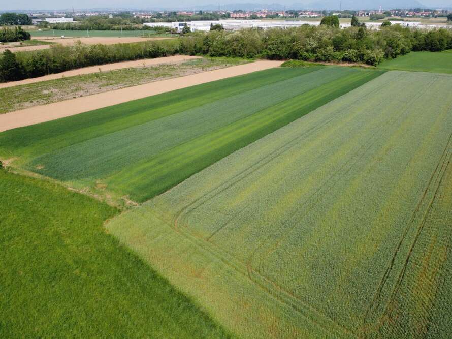 terreno agricolo a bellusco