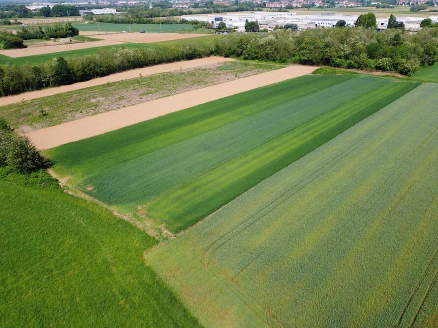 terreno agricolo a bellusco
