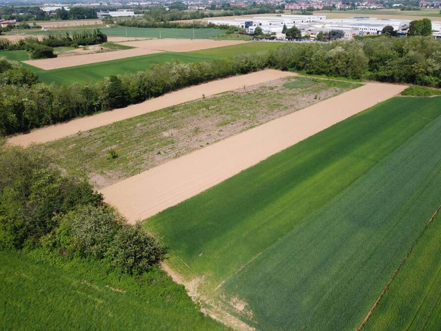 terreno agricolo a bellusco