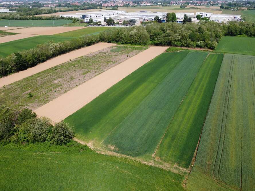 terreno agricolo a bellusco