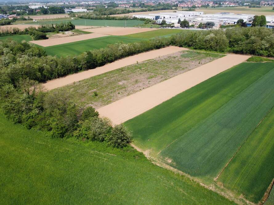terreno agricolo a bellusco