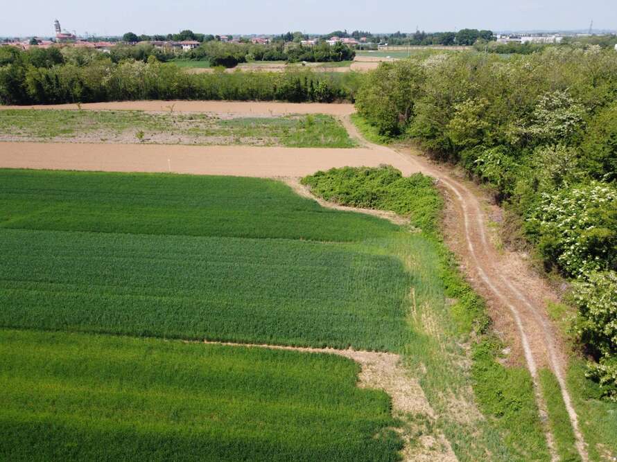 terreno agricolo a bellusco