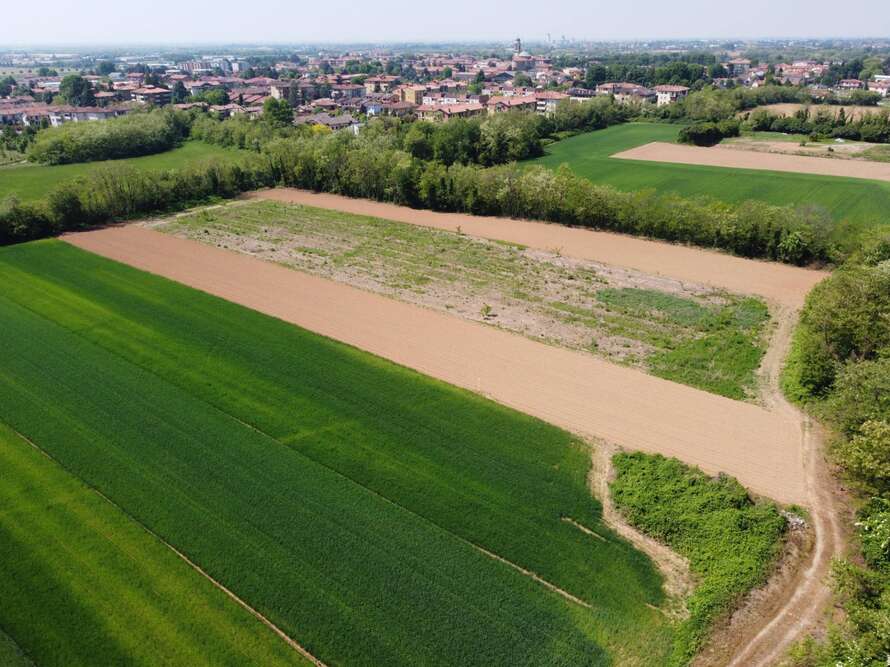 terreno agricolo a bellusco