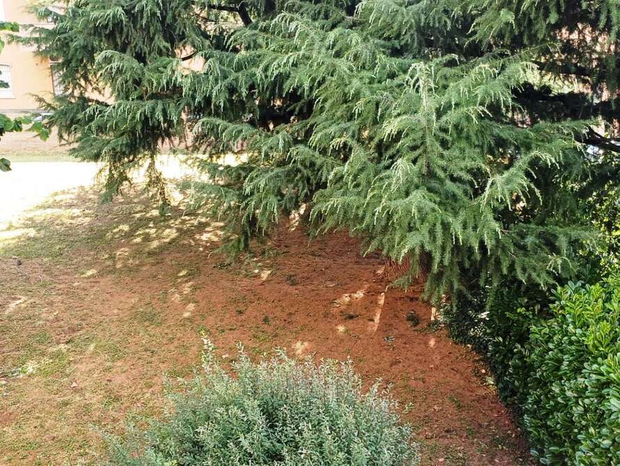 porzione di casa di 3 locali a cornate d adda