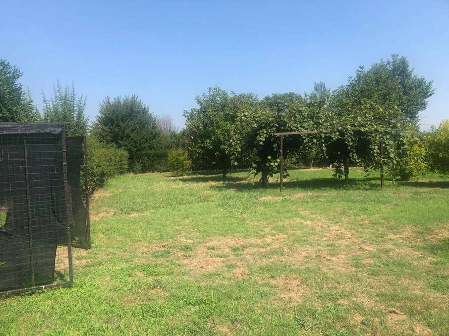 terreno agricolo a cambiago