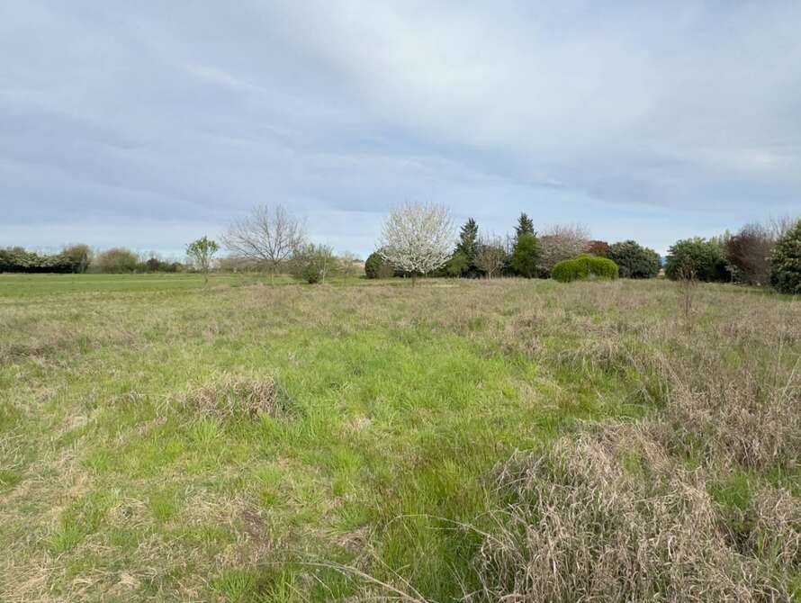 terreno agricolo a cambiago