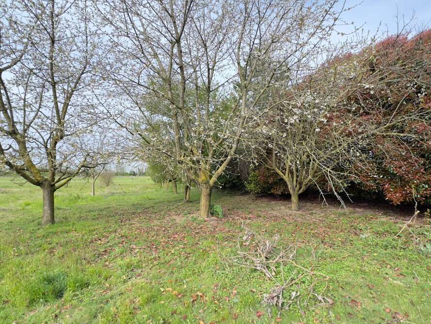 terreno agricolo a cambiago