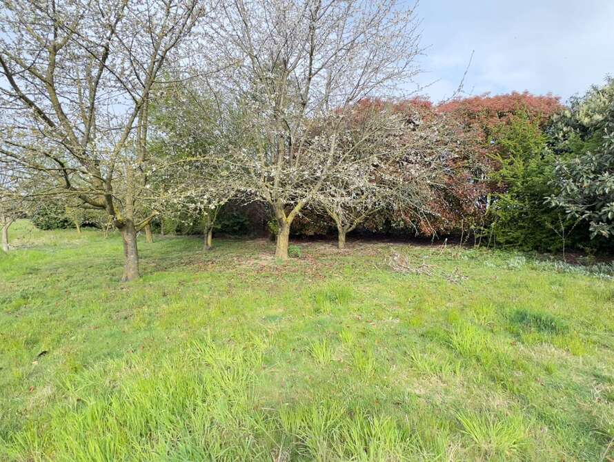 terreno agricolo a cambiago