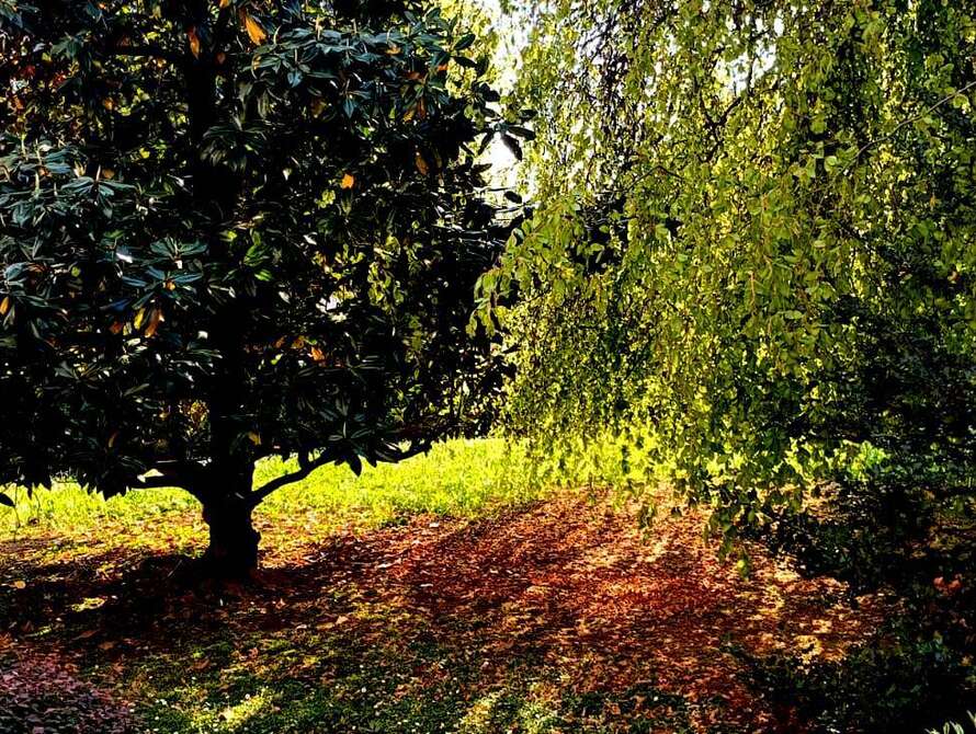 appartamento di 3 locali a cornate d adda