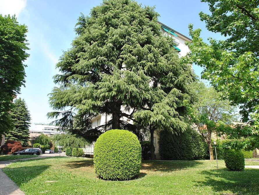 appartamento di 3 locali a vimercate