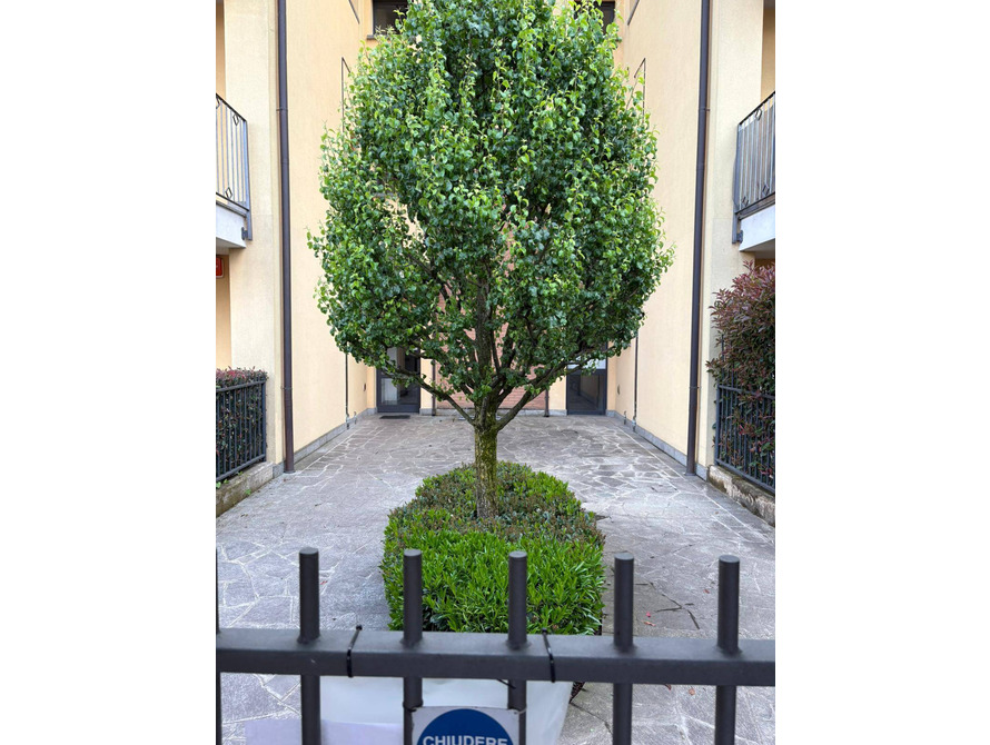 appartamento di 3 locali a cornate d adda