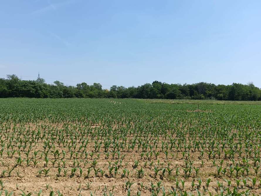 terreno agricolo a bellusco