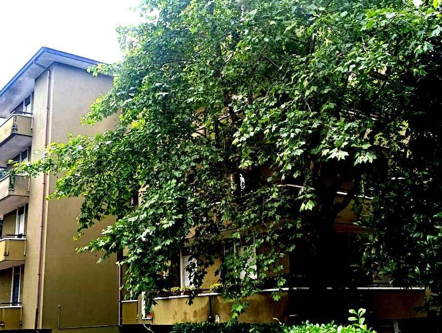 appartamento di 3 locali a agrate brianza