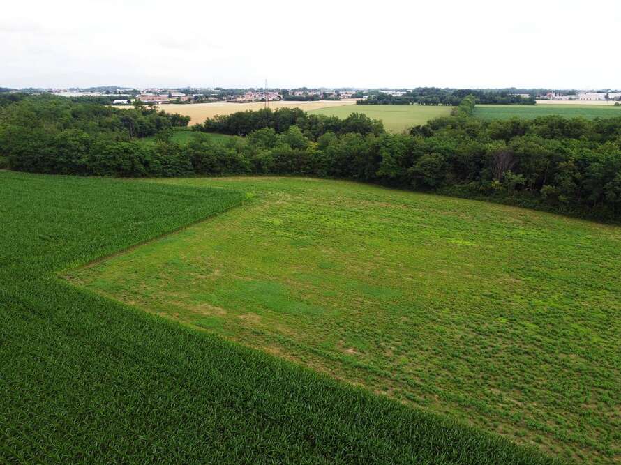 terreno agricolo a bellusco