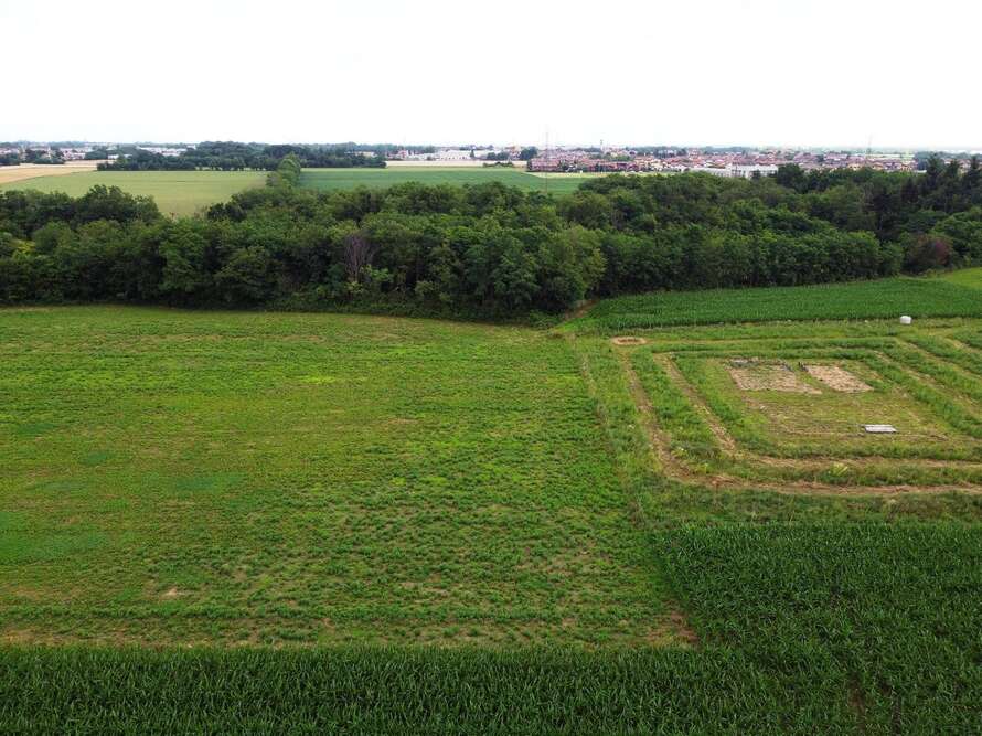 terreno agricolo a bellusco