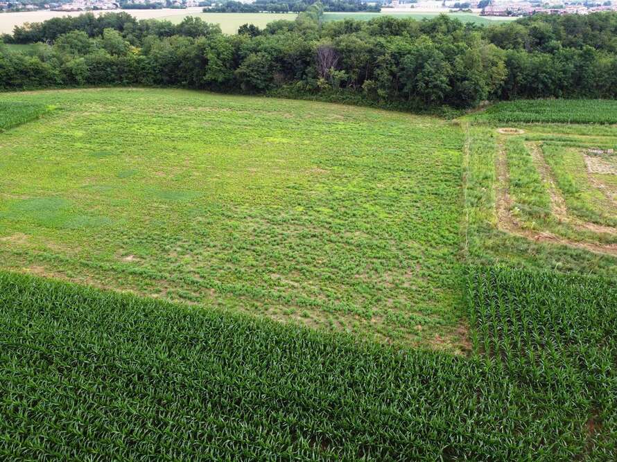 terreno agricolo a bellusco