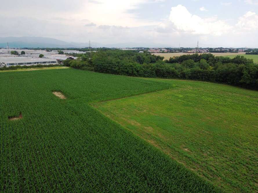 terreno agricolo a bellusco