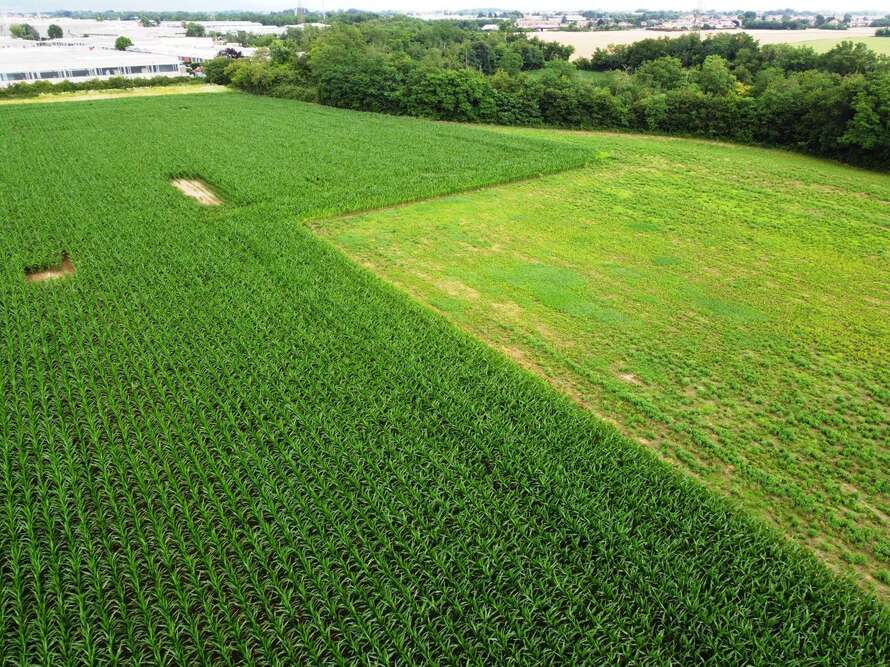 terreno agricolo a bellusco