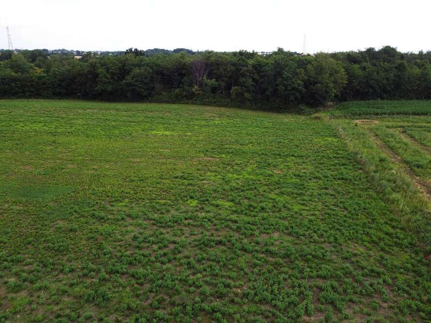 terreno agricolo a bellusco