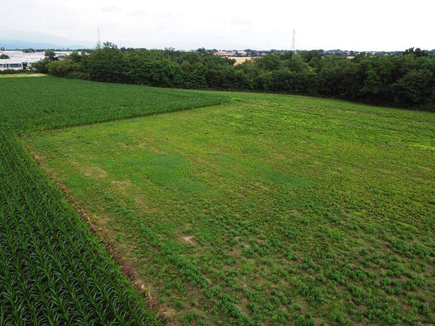 terreno agricolo a bellusco
