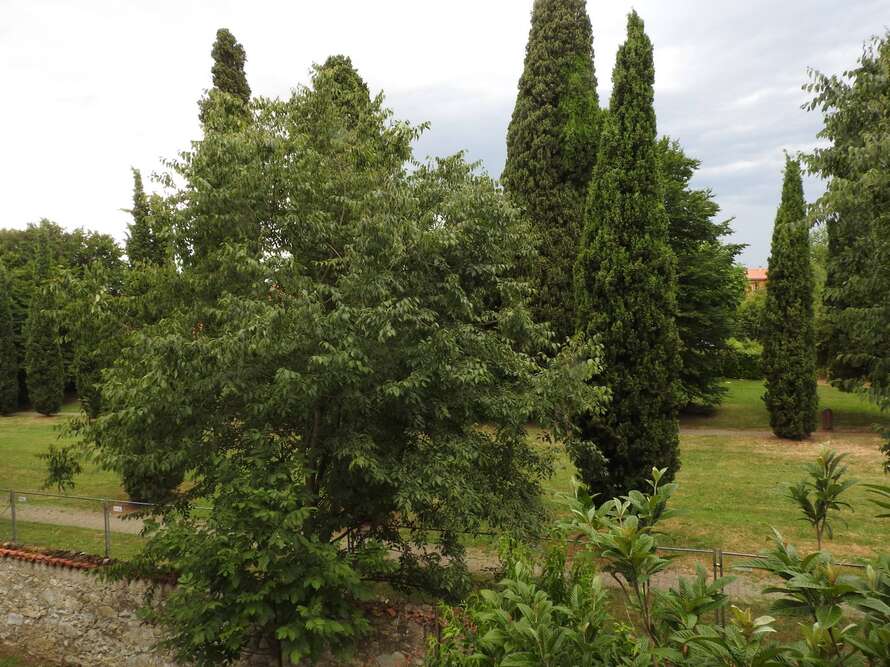 appartamento di 3 locali a merate