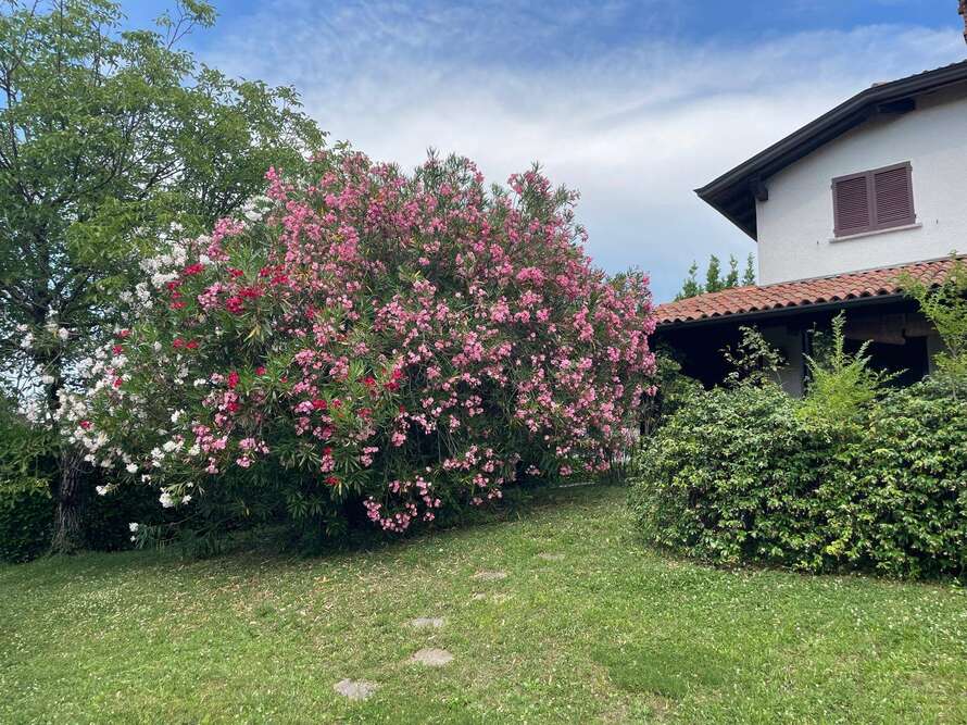 villetta a schiera di 7 locali a usmate velate