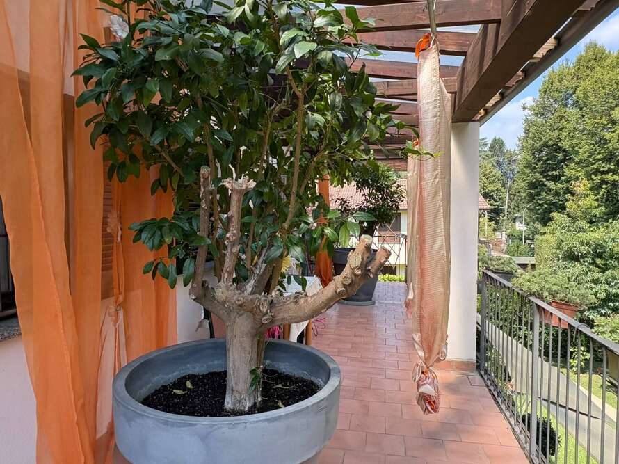 villetta a schiera di 5 locali a robbiate