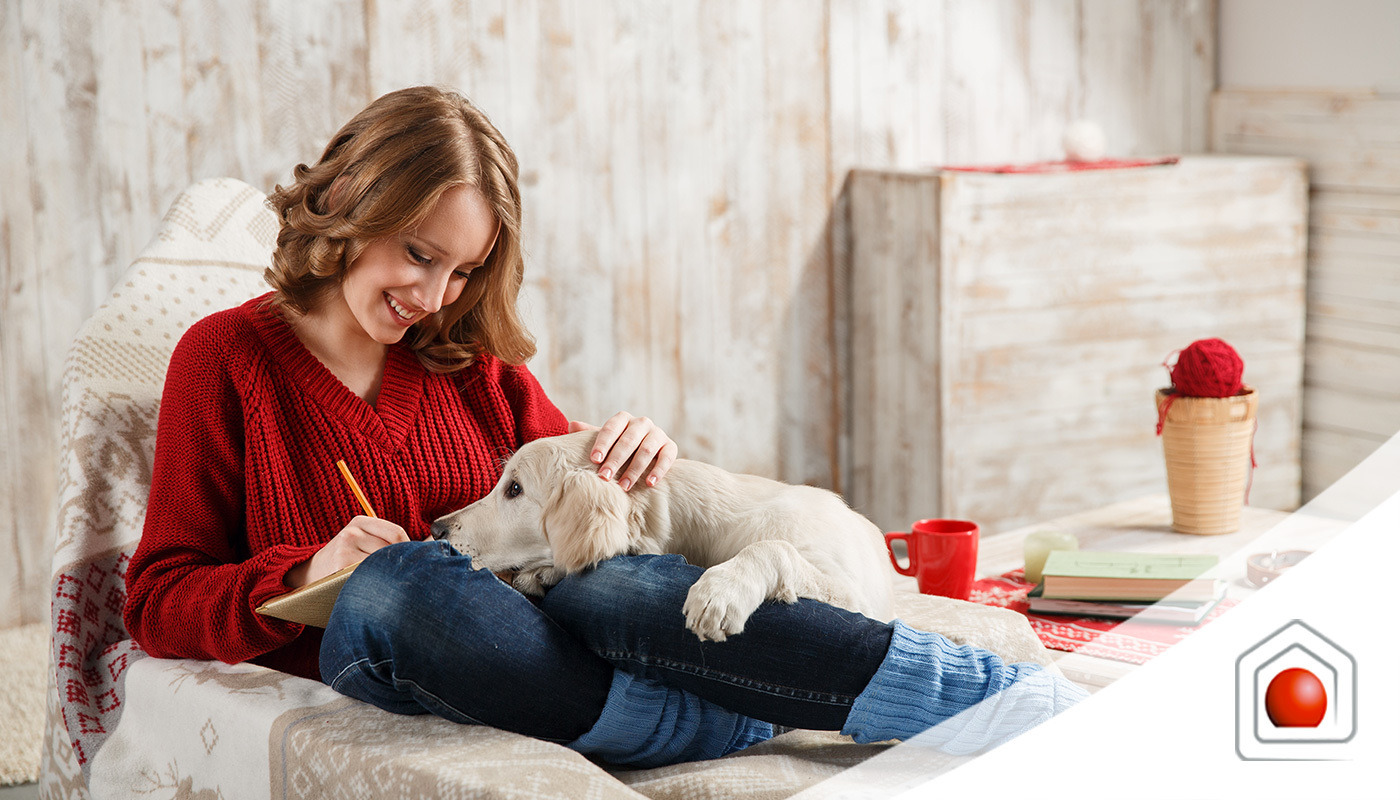 Animali domestici: creare lo spazio ideale in casa per la giusta convivenza