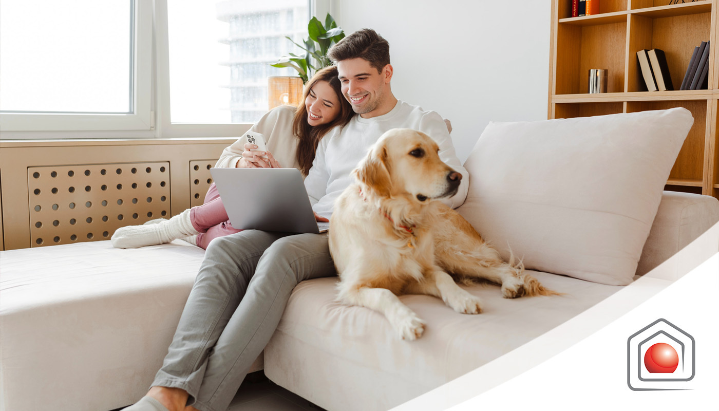 Il mercato degli affitti pet-friendly: opportunità per proprietari e inquilini